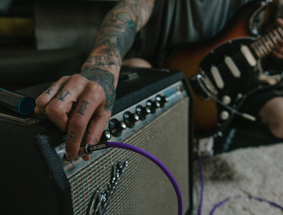 P06434 Ernie Ball Flex 10 ft Cable