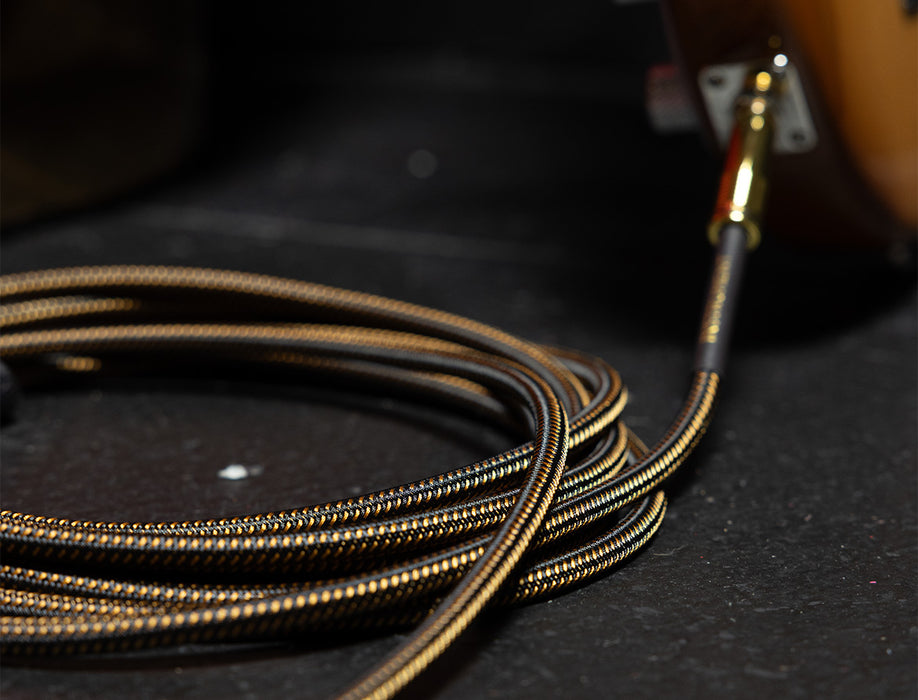 P06428 Ernie Ball 10 ft Braided Cable - PayDirt