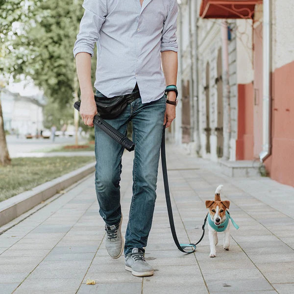 BTSG-GDK GD Knightro-Clubber Tactical Stun Light