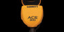 1141150 Garrett ACE 300 Metal Detector