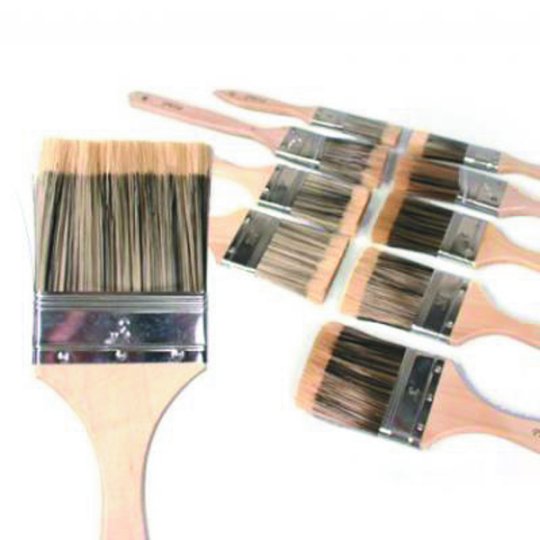 10 Piece Paint Brush Set