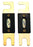 Audiopipe 100 Amp Gold ANL Fuse 2 Pack