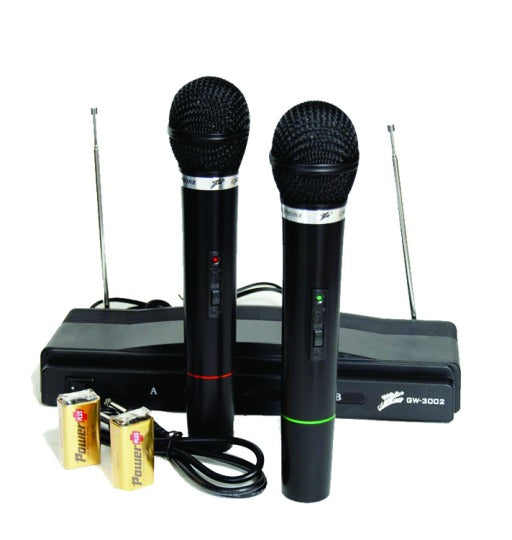 Dual Wireless Microphones