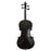 ART-100BLK Full Size Black Violin With Case