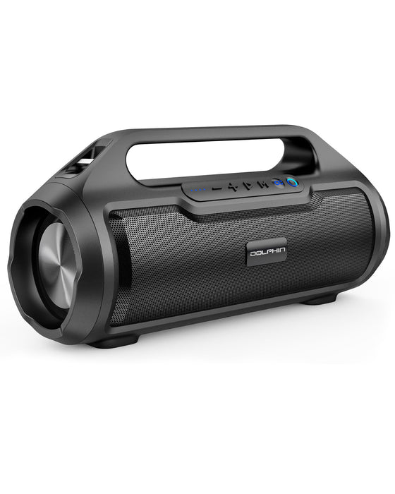 LX-20 Dolphin Tube Dual Speaker Rechargeable Boombox with BT, FM, USB,SD and AUX Inputs